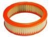 Filtro de aire Air Filter:25040881