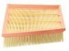 Air Filter:16 54 678 60R