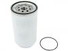 Fuel Filter:21005832