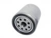 бензиновый фильтр Fuel Filter:21925732