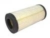 Filtro de aire Air Filter:299643A1